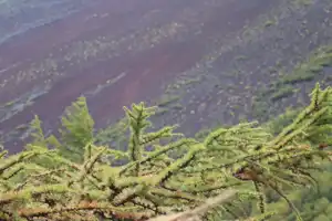 2025-10-00 Tokyo, Japan - Tokyo (62).webp